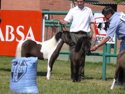 Fireworks & Dark Believer